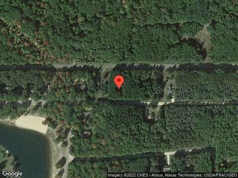 White Pine, STANWOOD, MI 49346