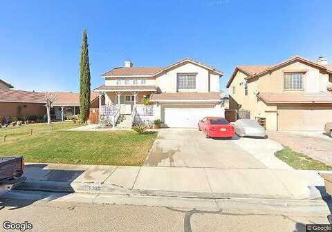 Nolina, HESPERIA, CA 92344