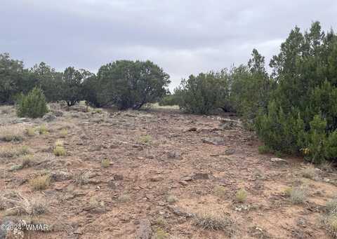 Cleveland Drive, Concho, AZ 85924