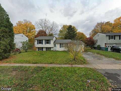 Burning Brush, ROCHESTER, NY 14606