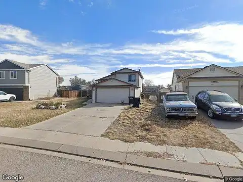 Daffodil, FOUNTAIN, CO 80817