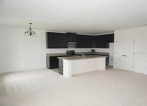 Early, GROVELAND, FL 34736