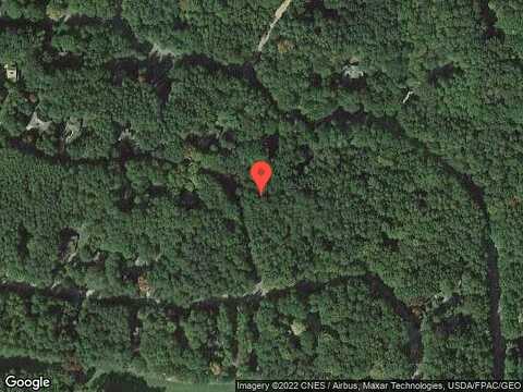 Birdie, STANWOOD, MI 49346