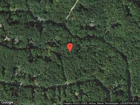 Birdie, STANWOOD, MI 49346