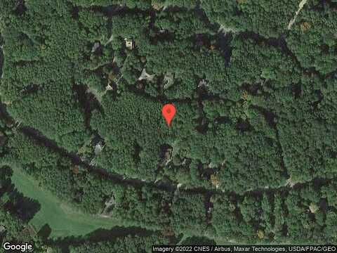 Birdie, STANWOOD, MI 49346