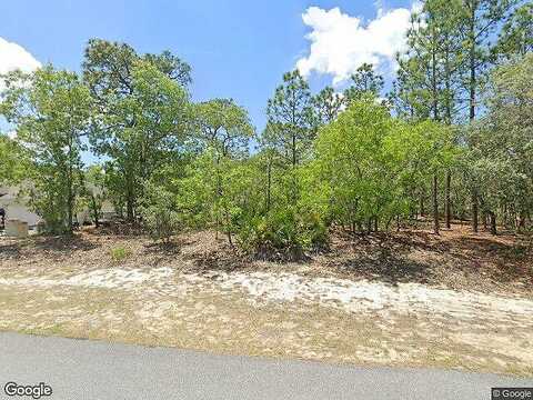 Santee, DUNNELLON, FL 34433