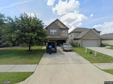 Chimney Swift, CONROE, TX 77385