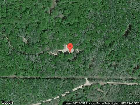 Allegheny Trail Vacant, Evart, MI 49631