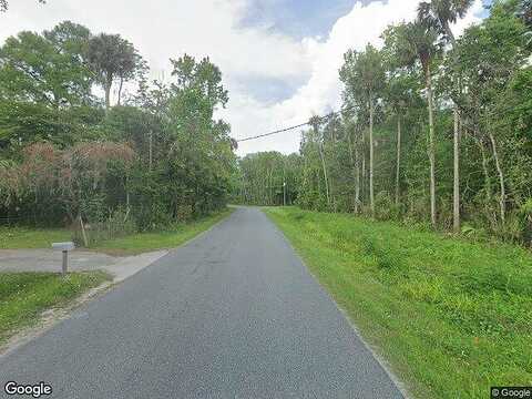 Blue Creek Rd, ASTOR, FL 32102