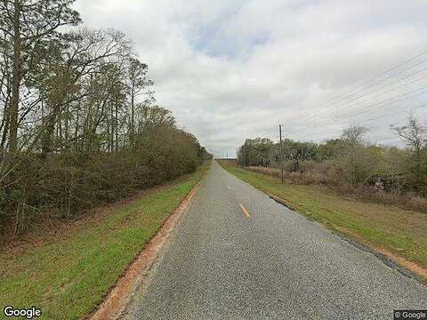 Joel Poole Rd, DONALSONVILLE, GA 39845