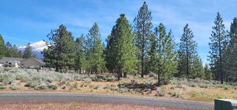 Lot 115 Buffalo, Weed, CA 96094