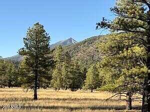 Lot 5 E Hattie Greene -- 5, Flagstaff, AZ 86001