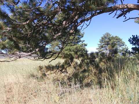 Lot201 Hillcrest Circle, Golden, CO 80401