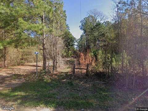 Silver Maple Ln, PLANTERSVILLE, TX 77363