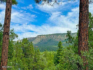 Tbd Hillside Rd. Lots 30 & 51 -- 30 & 51, Pine, AZ 85544