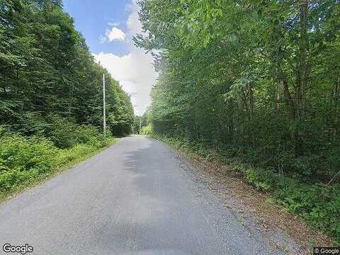 Twitchell Rd, EAGLE BAY, NY 13331