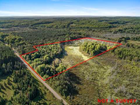 Vl Ford Road, Wolverine, MI 49799
