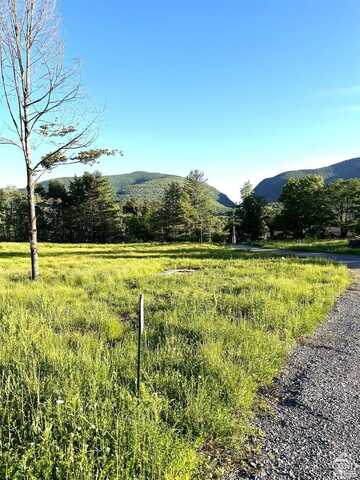 0 Ruth Court #1, Hunter, NY 12442