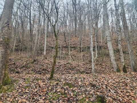 00 Stumbo Subdivision, Prestonsburg, KY 41653