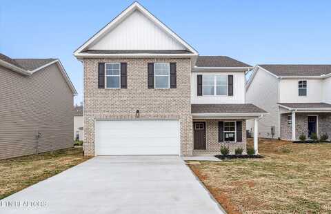 9518 Joy Denise Lane, Heiskell, TN 37754