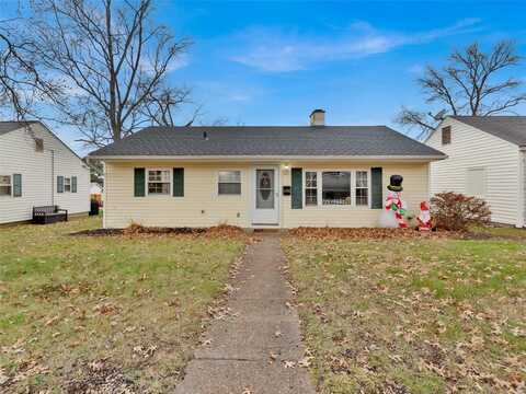 3951 Wenzlick Avenue, Saint Louis, MO 63109