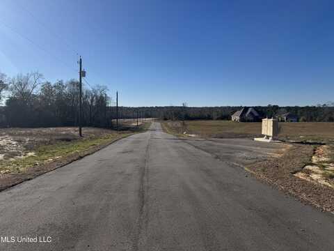 Shadow Wood- Lot 1 Drive, Perkinston, MS 39573