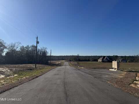 Shadow Wood - Lot 2 Drive, Perkinston, MS 39573