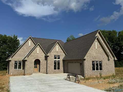 Lot 10 Newcastle Lane, Decatur, AL 35603