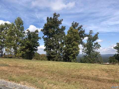 Lot 205 County Road 767, Cedar Bluff, AL 35959