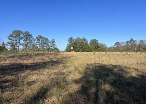 0 Mt. Pleasant Church Rd. Tract B, Kennedy, AL 35574