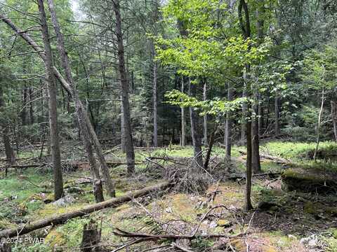 Lot 75 Happy Hollow Drive, Shohola, PA 18458