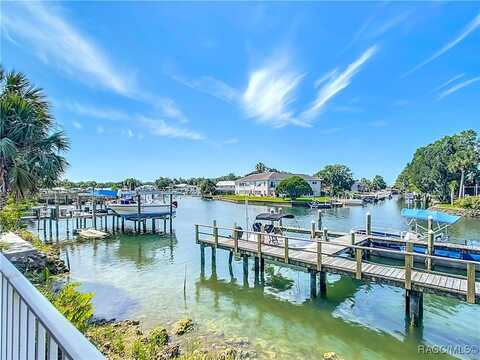 253 NW Bay Path Drive, Crystal River, FL 34428