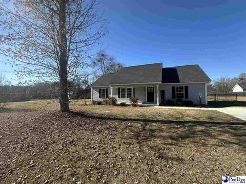 203 Lawson Rd, Darlington, SC 29532