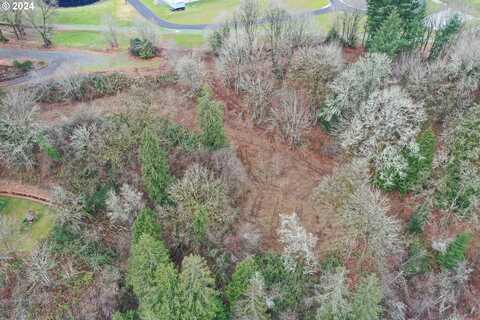 0 Scott Hill RD, Woodland, WA 98674