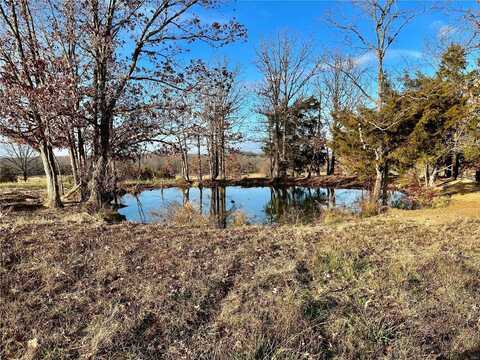 0 TBD Tract 3 Highway CC, Salem, MO 65560