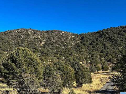 200 Black Dog, Silver City, NM 88061