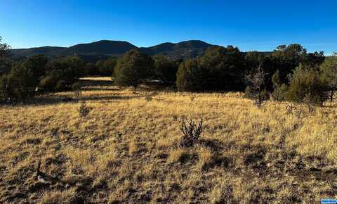 100 Black Dog, Silver City, NM 88061