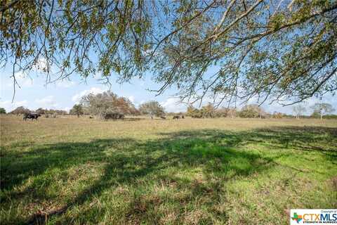 0 County Road 429, Lolita, TX 77971