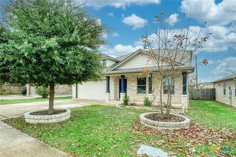 226 Avalanche Avenue, Georgetown, TX 78626