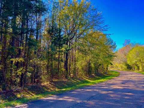 1000 Old Sylvarena Rd, Wesson, MS 39191