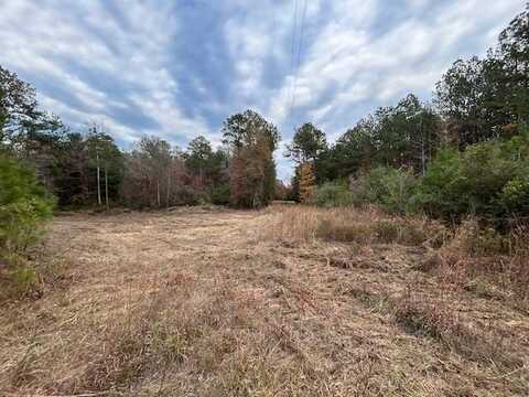 0 Branch Rd, Smithdale, MS 39664