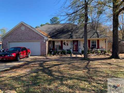 77 Green Oak Circle, Nash, TX 75569