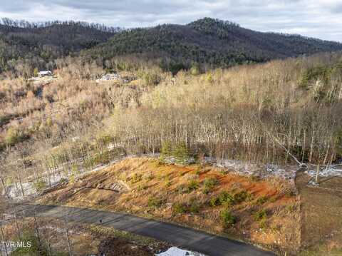 48 Homestead Drive, Unicoi, TN 37692