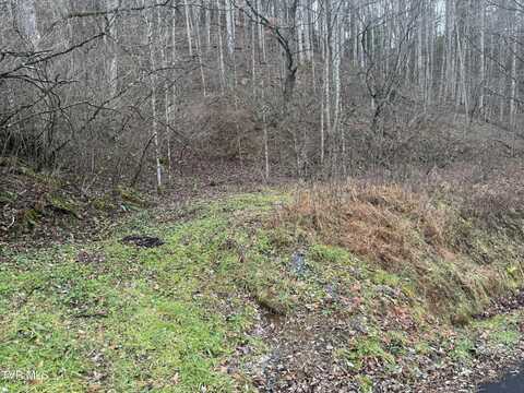 Tbd Tiger Creek Road, Roan Mountain, TN 37687