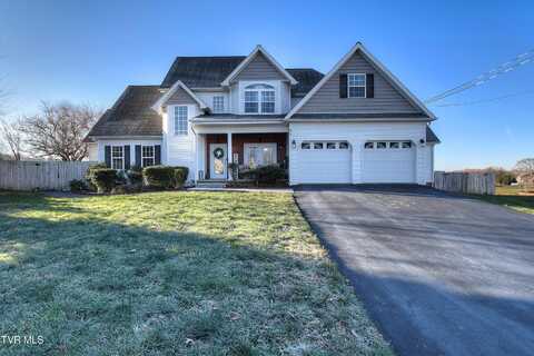 67 Carissa Court, Telford, TN 37690