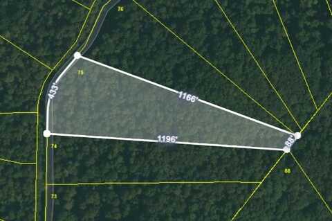 Lot 75 W Bobcat Lane, WILDER, TN 38589