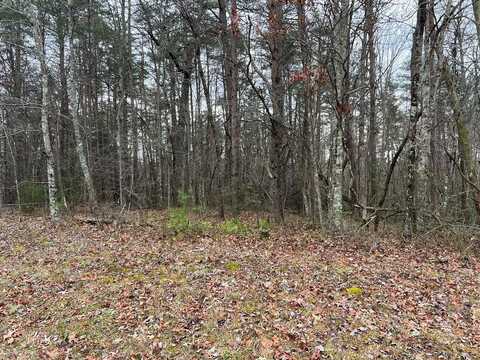 lot 2 Cumberland Cove Road, MONTEREY, TN 38574