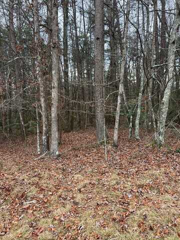 lot 1 Laurel Way, MONTEREY, TN 38574