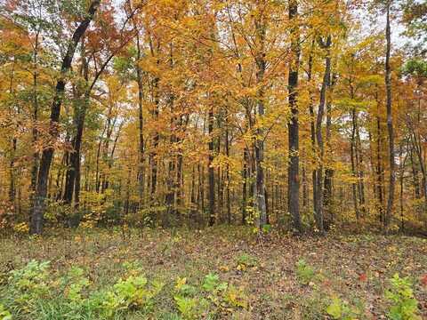 10 AC West Robbins Road, Robbins, TN 38570