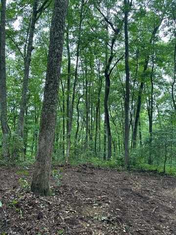 lot 340 Deep Branch, WILDER, TN 38589